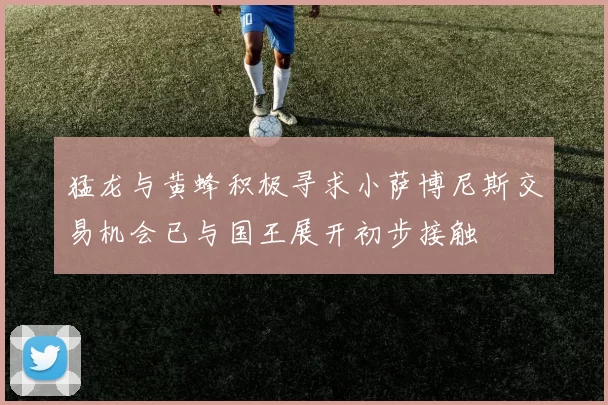 猛龙与黄蜂积极寻求小萨博尼斯交易机会已与国王展开初步接触